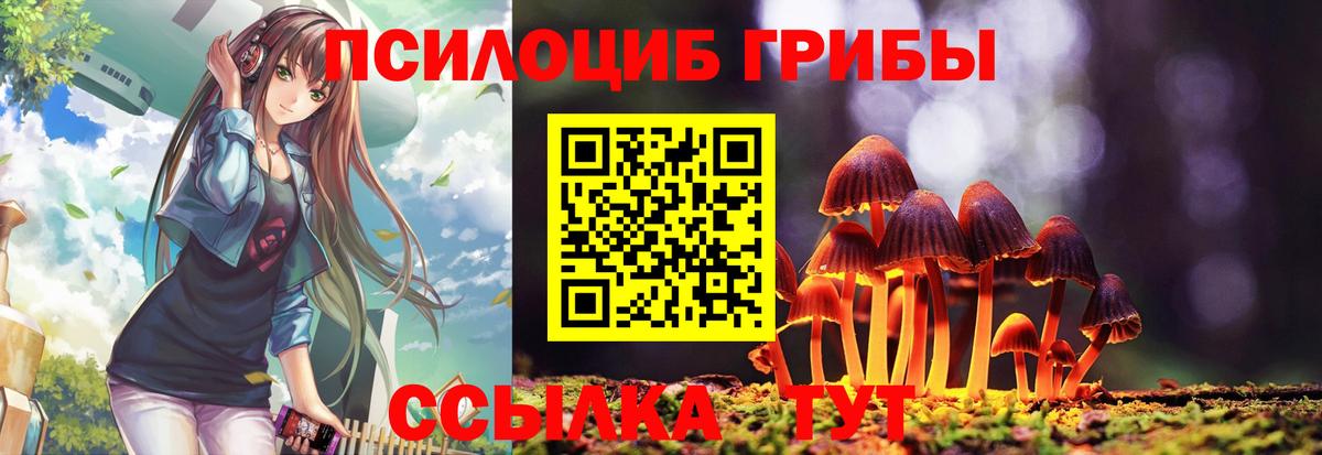 наркошоп  Вход с VPN  Майкоп  Галлюциногенные грибы ЛСД  Галлюциногенные грибы MAGIC MUSHROOMS 
